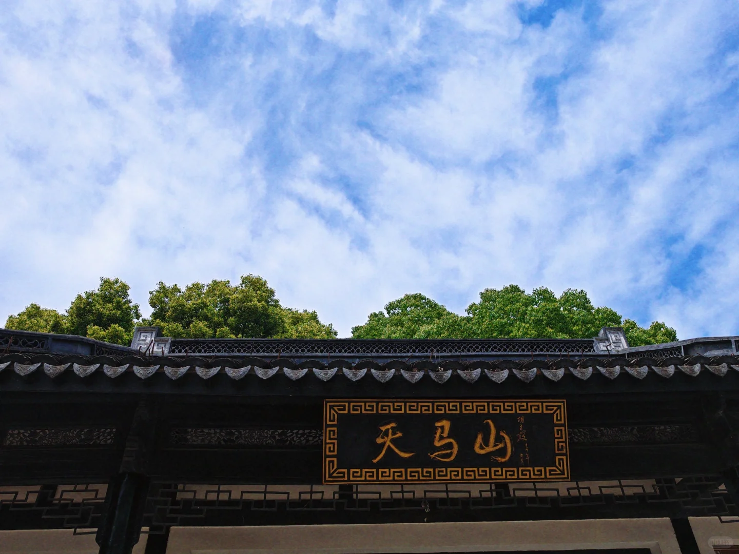 上海天马山亲子友好徒步：强烈推荐低幼宝宝