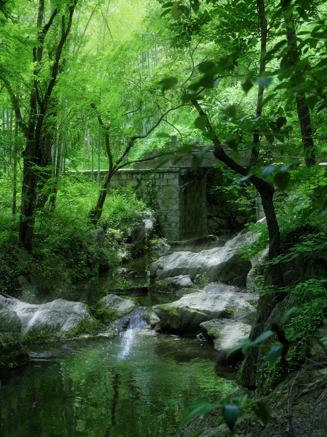 别在南京人挤人了！滁州溯溪玩水一日游‼️