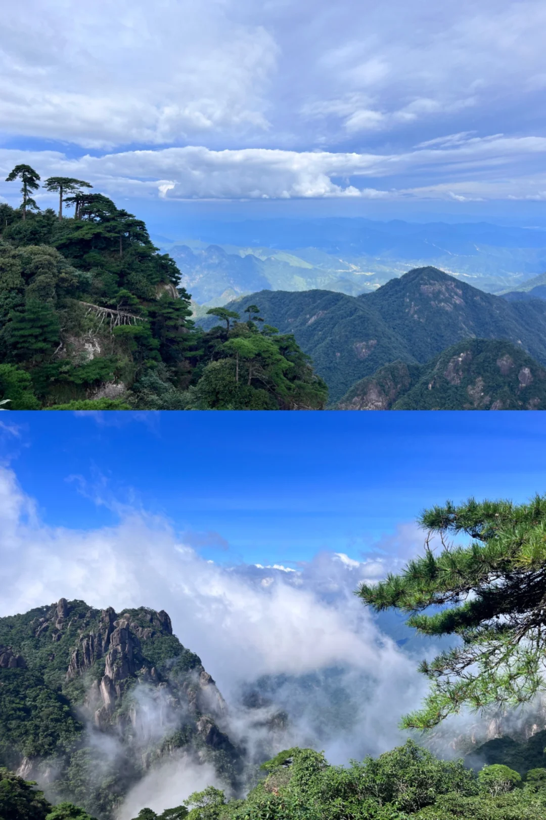 黄山和三清山我居然觉得三清山更胜一筹