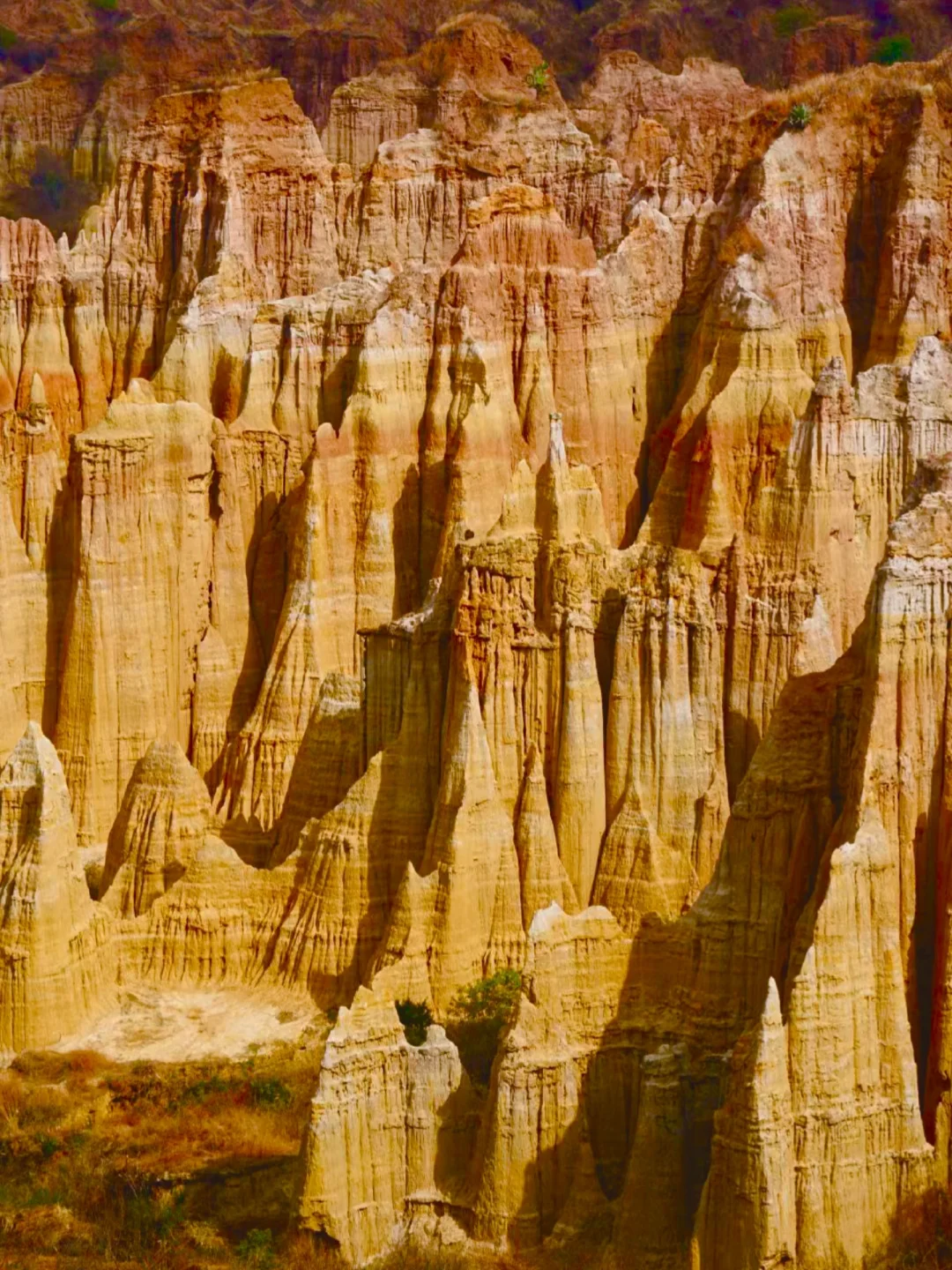 我不说，应该没人知道这是哪？