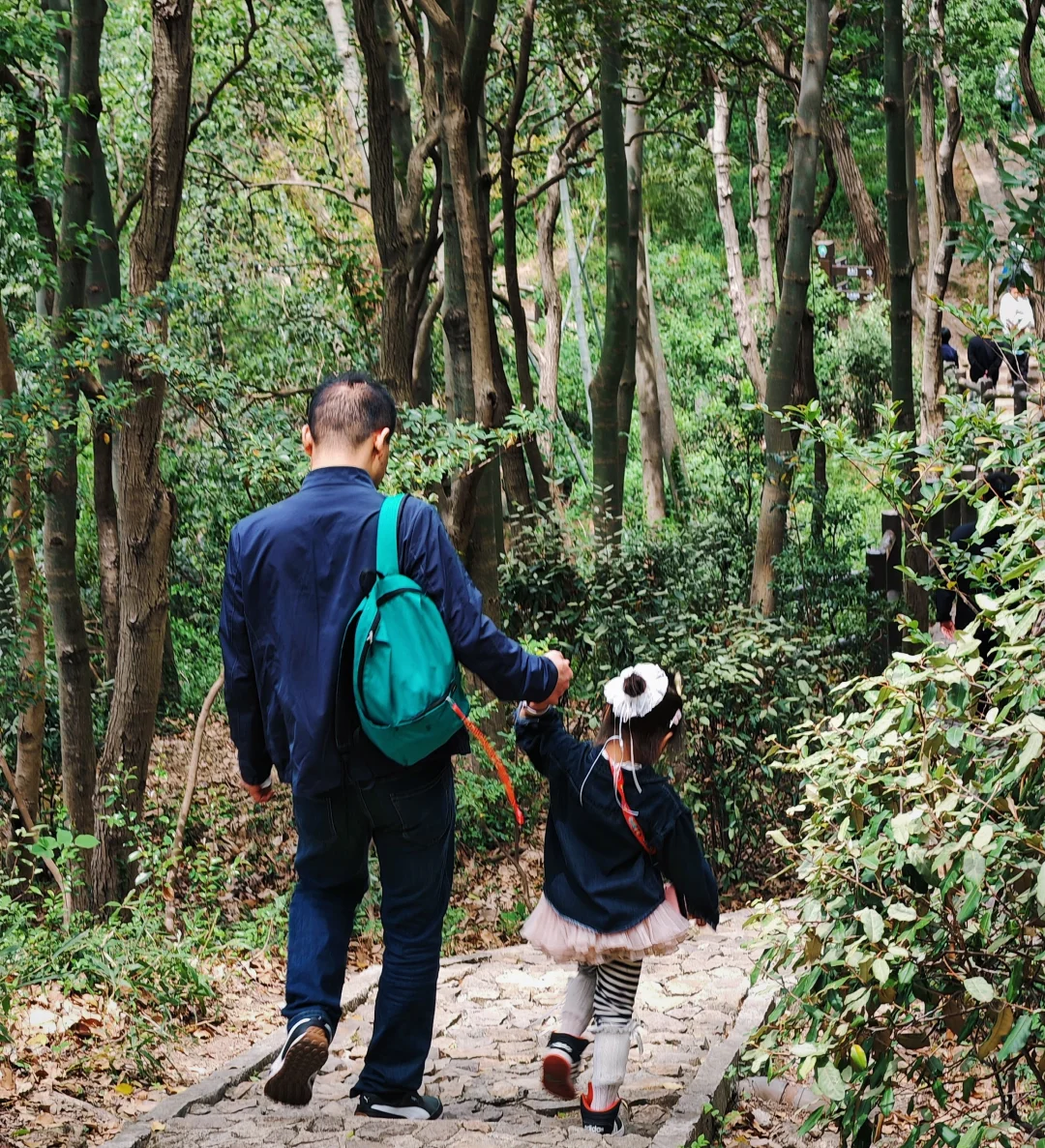 上海天马山亲子友好徒步：强烈推荐低幼宝宝