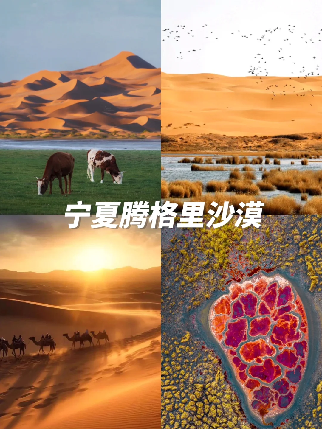 五一反向旅游进👏炒冷门小众的宝藏打卡点‼️