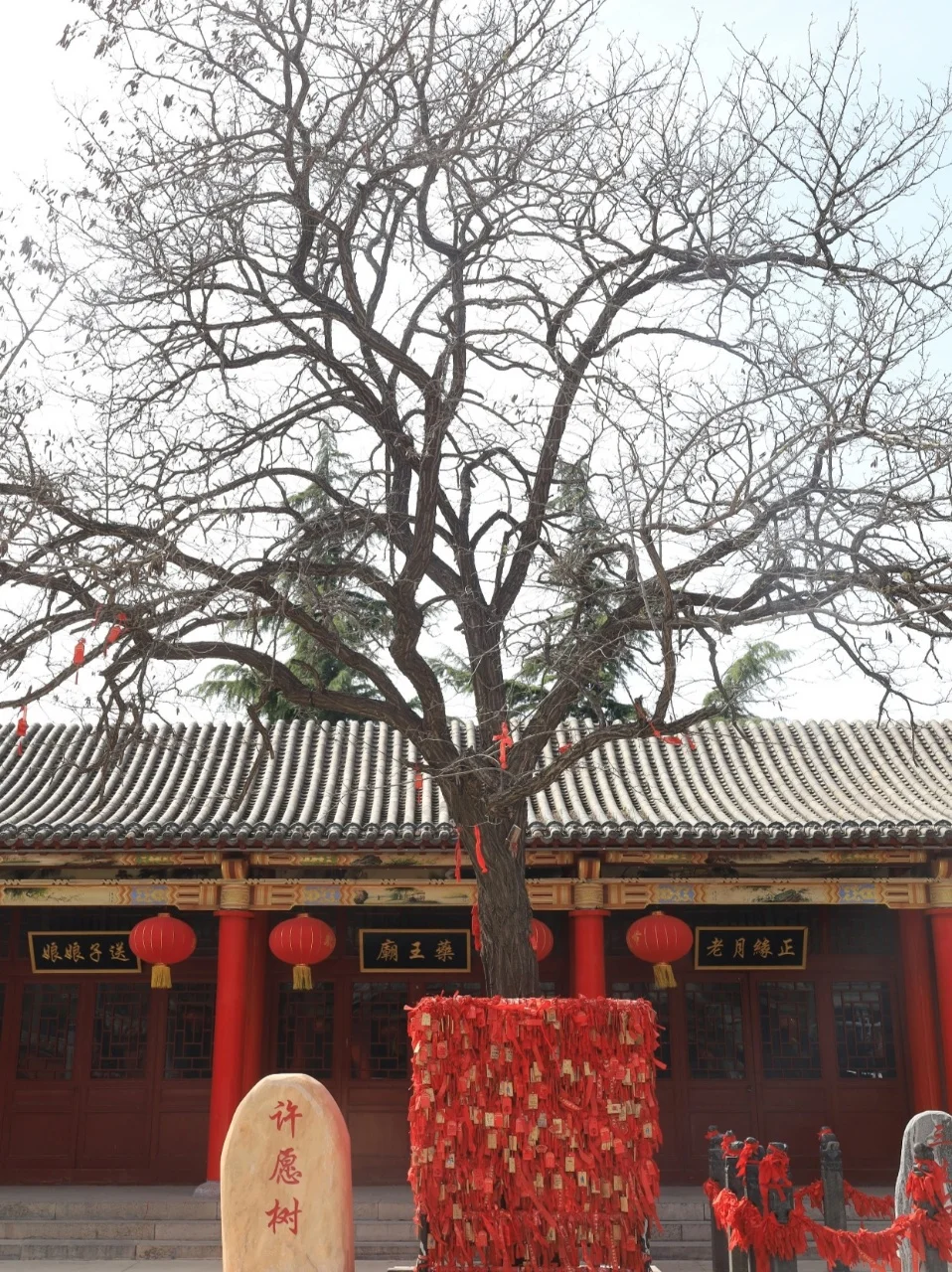 邯郸旅行必冲！9 大宝藏景点保姆级攻略