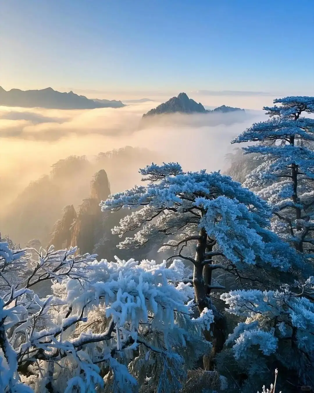 一生至少要去一次黄山！饱览松云石景