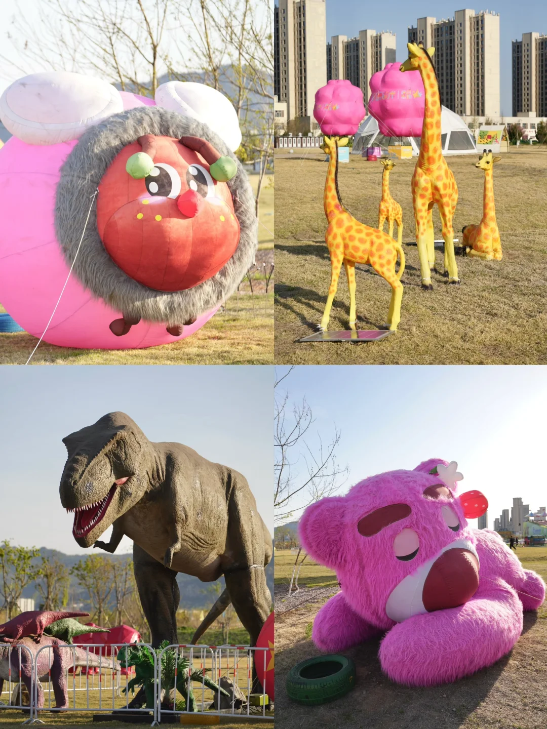 烟台五一周边游🌸威海石岛赤山樱花节‼️