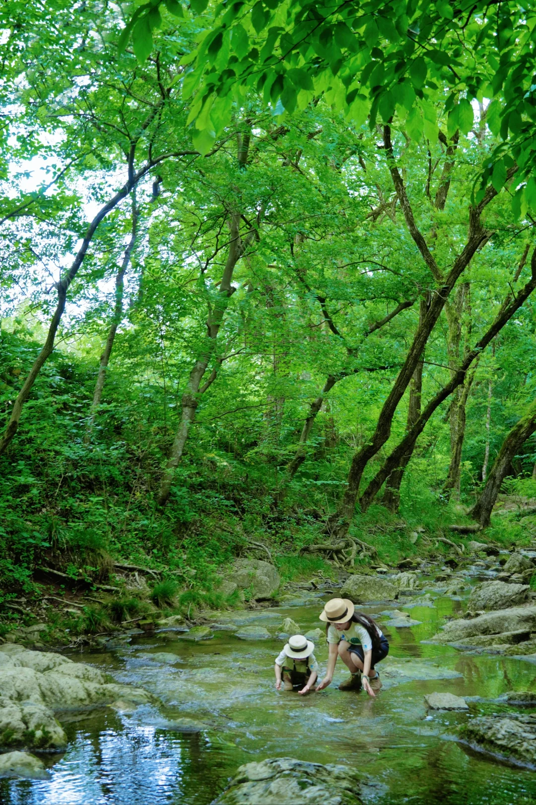 别在南京人挤人了！滁州溯溪玩水一日游‼️