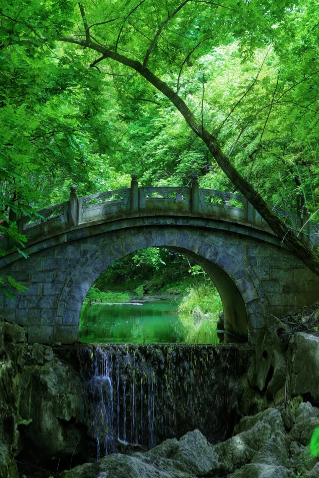 别在南京人挤人了！滁州溯溪玩水一日游‼️