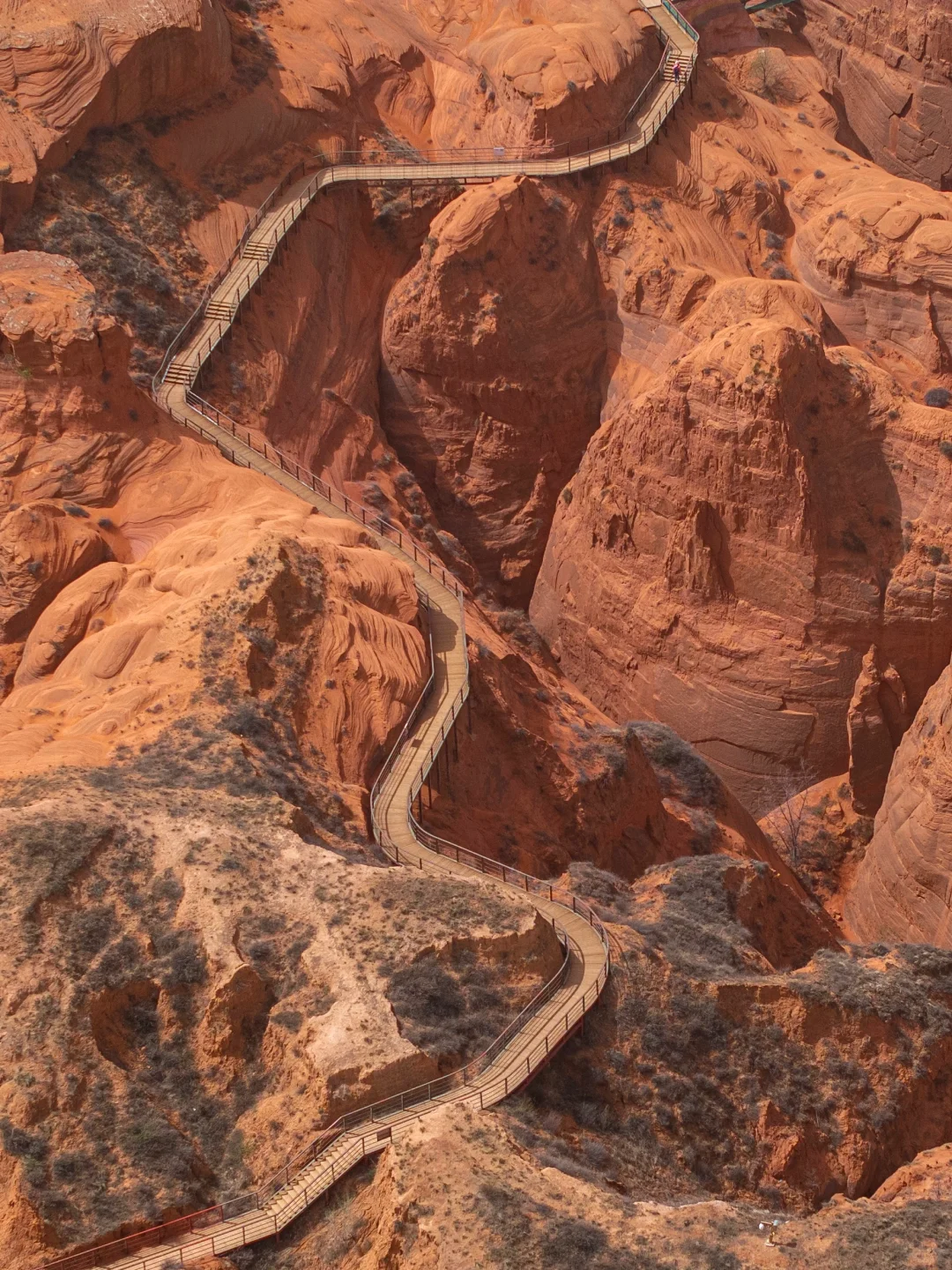 朋友圈问疯了！都以为我去了美国…🤣