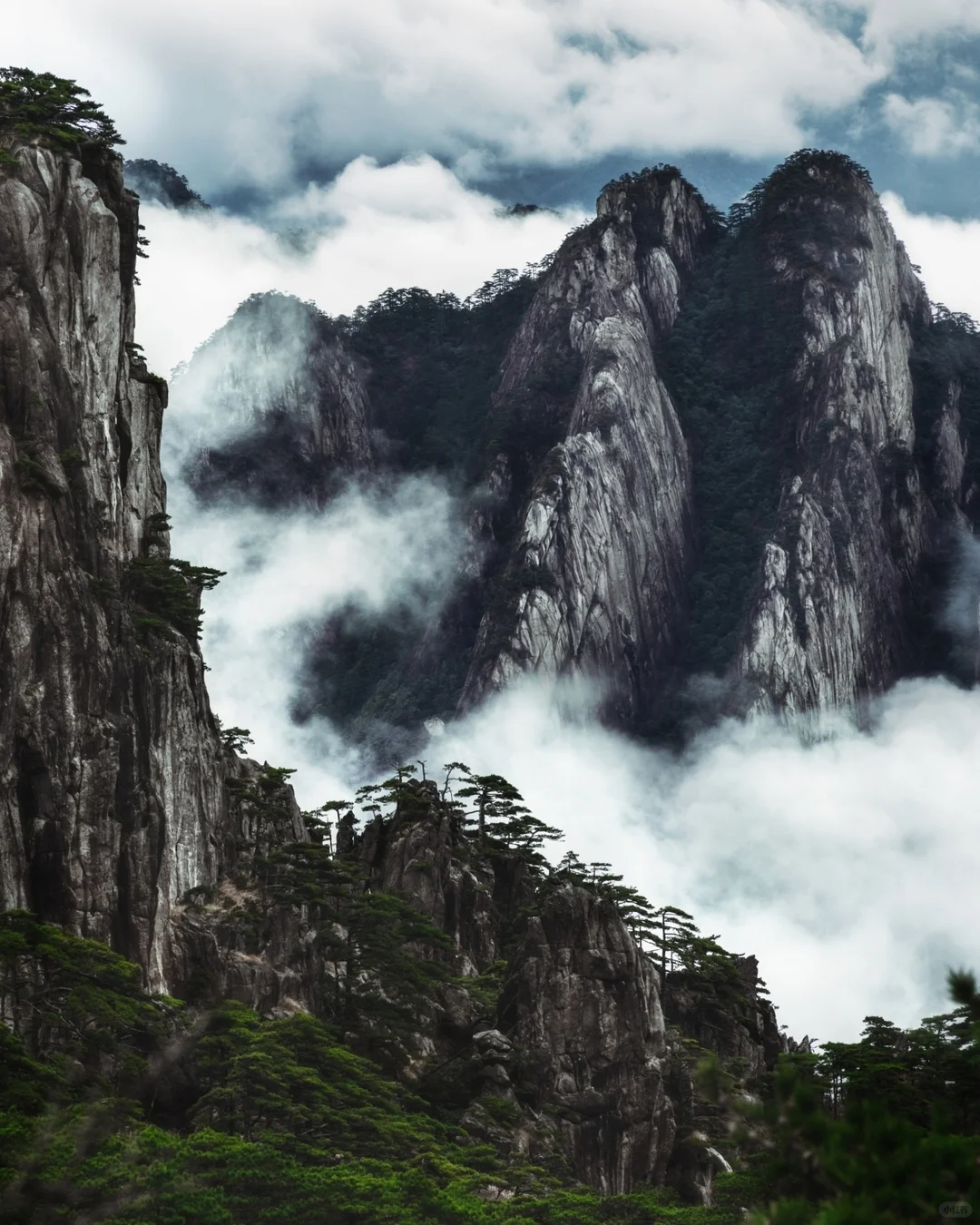 一生至少要去一次黄山！饱览松云石景
