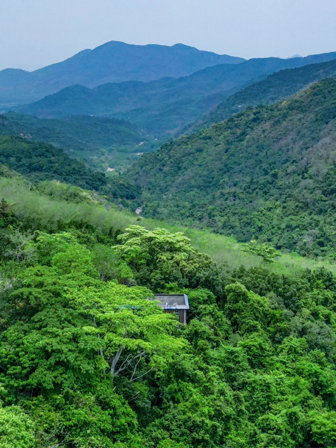 来海南，如果错过这里该有多遗憾啊~