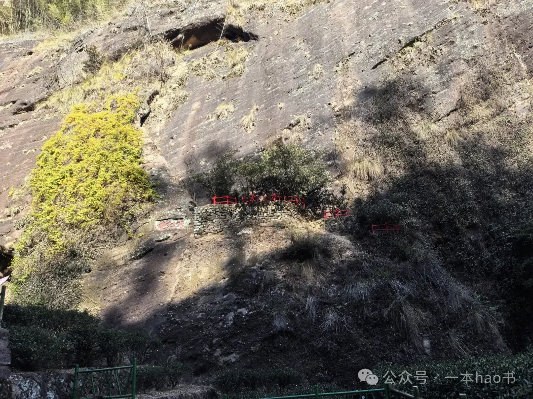 春节前游衢州和武夷山day3大红袍景区