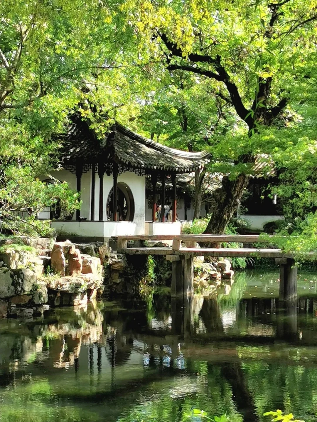 以为南京够美了🍃直到我来到了苏州....