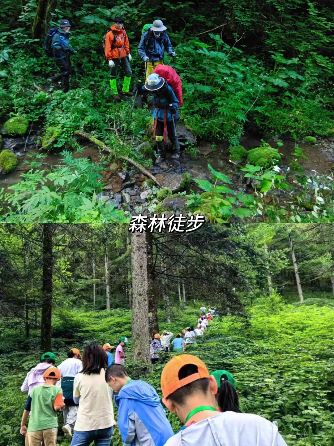 在贵州和恩施之间选择了恩施，冷门带娃绝了