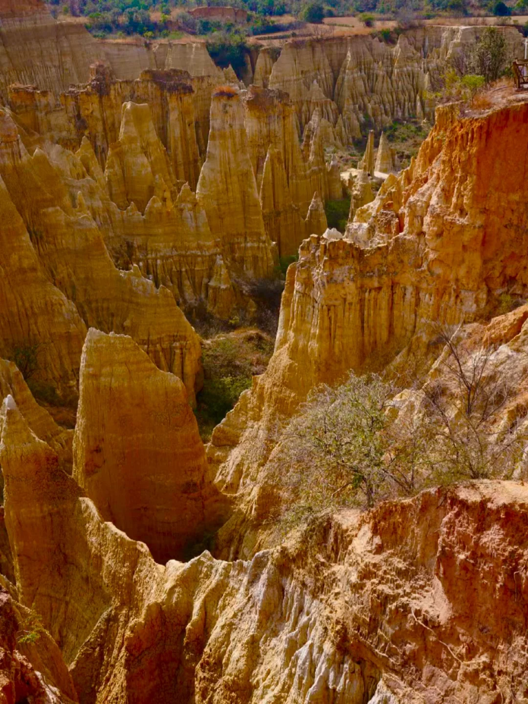 我不说，应该没人知道这是哪？