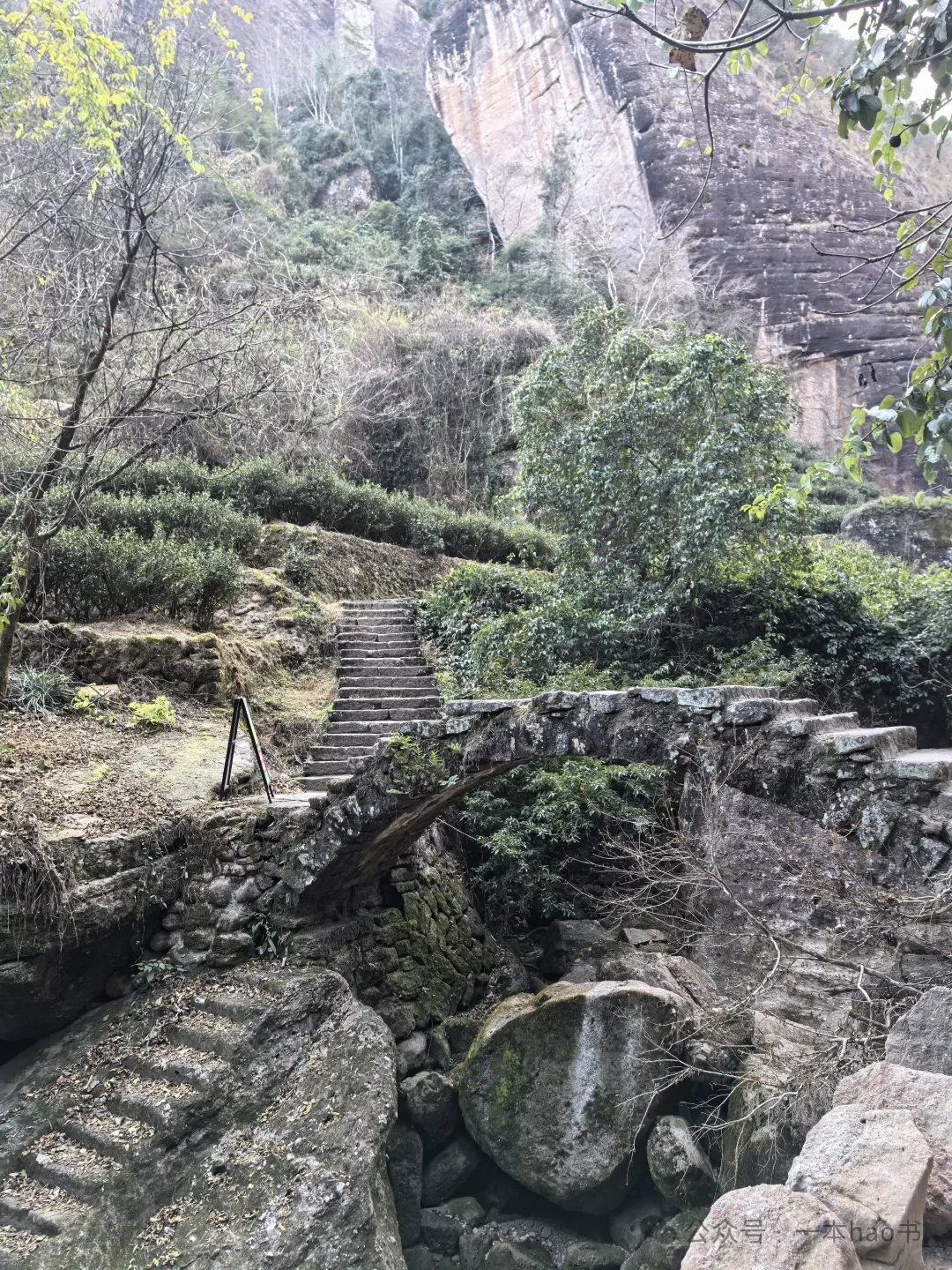 春节前游衢州和武夷山day3大红袍景区
