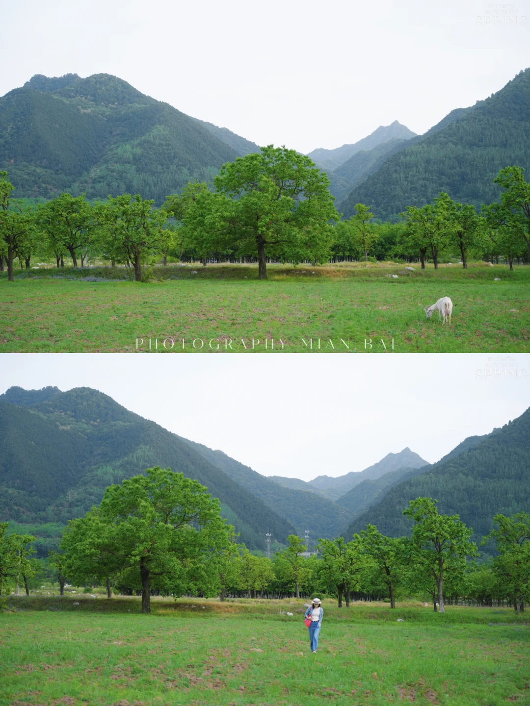 西安地铁直达,避开人群承包一座山的春天~