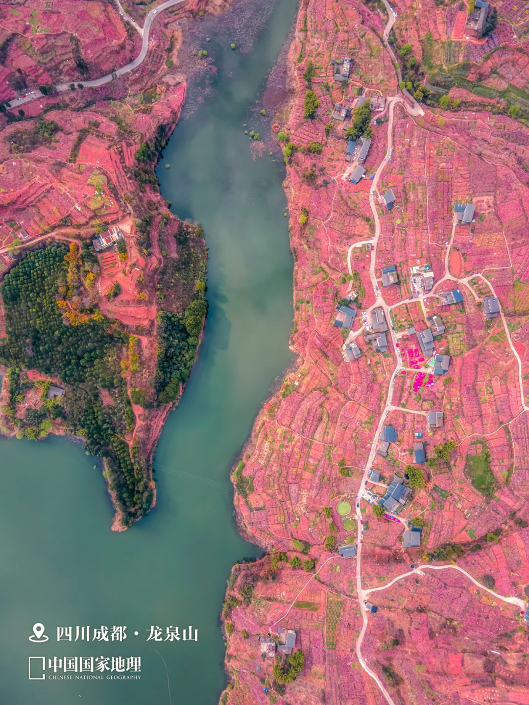 春天来这里，迎接你的“桃花”运🌺