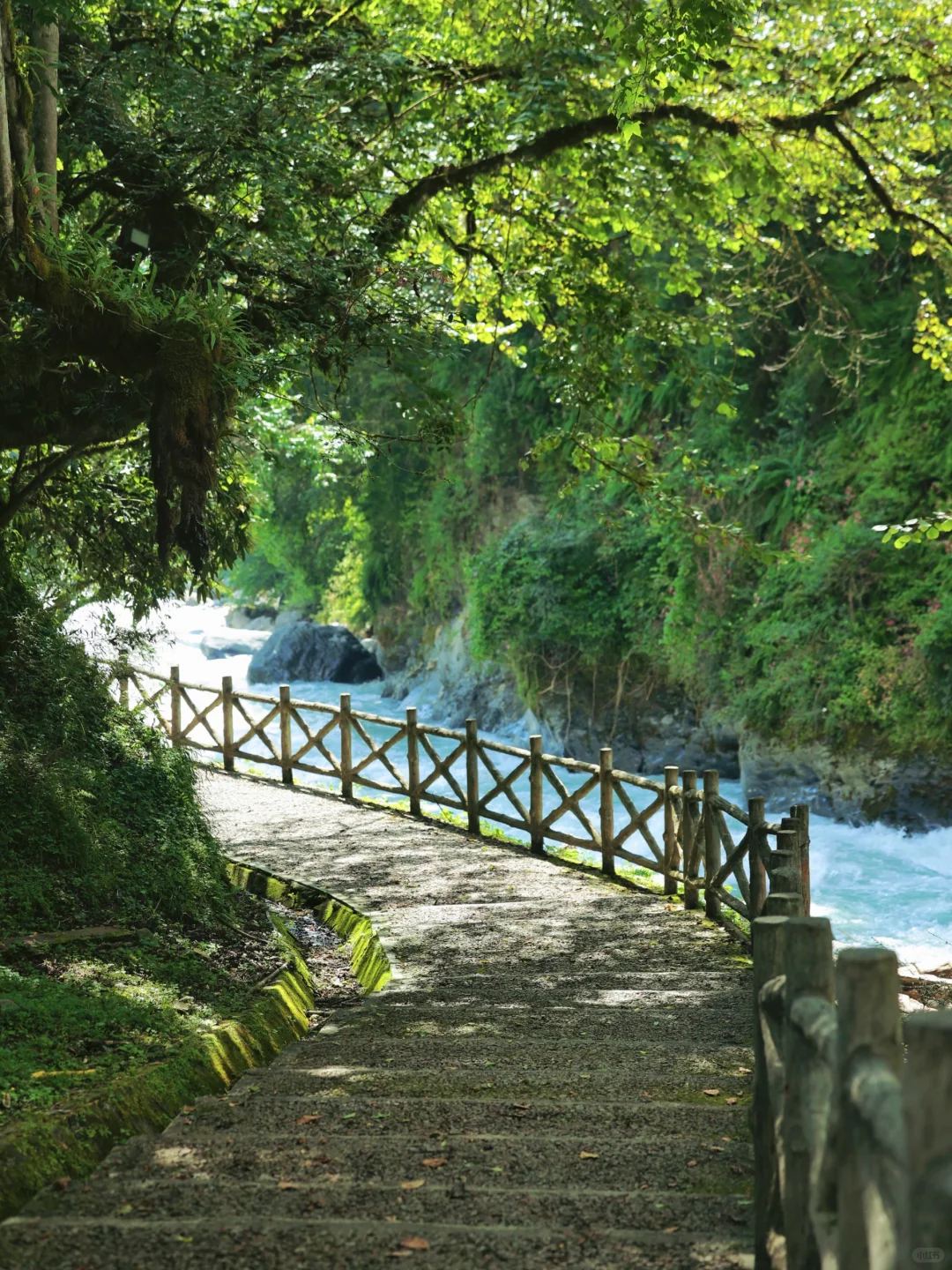 🌿在云端花海解锁春日治愈力🌿