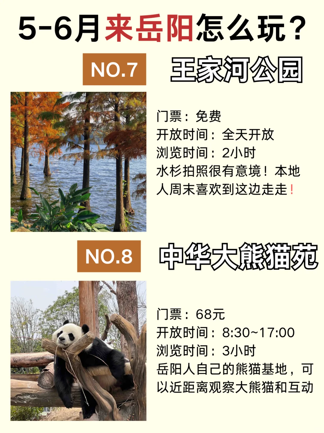 一篇讲清楚5-6月来岳阳怎么玩？附超全攻略