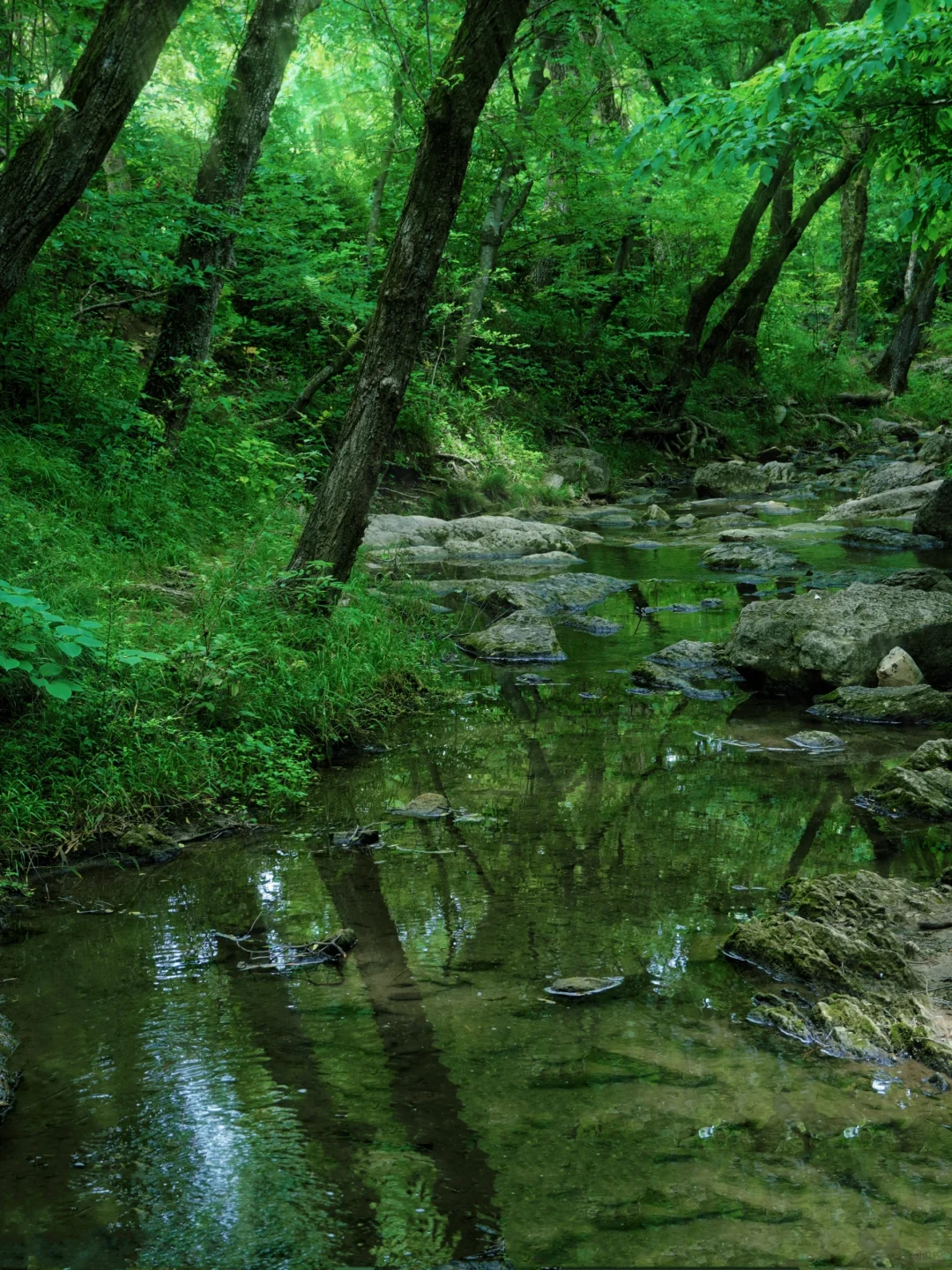 别在南京人挤人了！滁州溯溪玩水一日游‼️