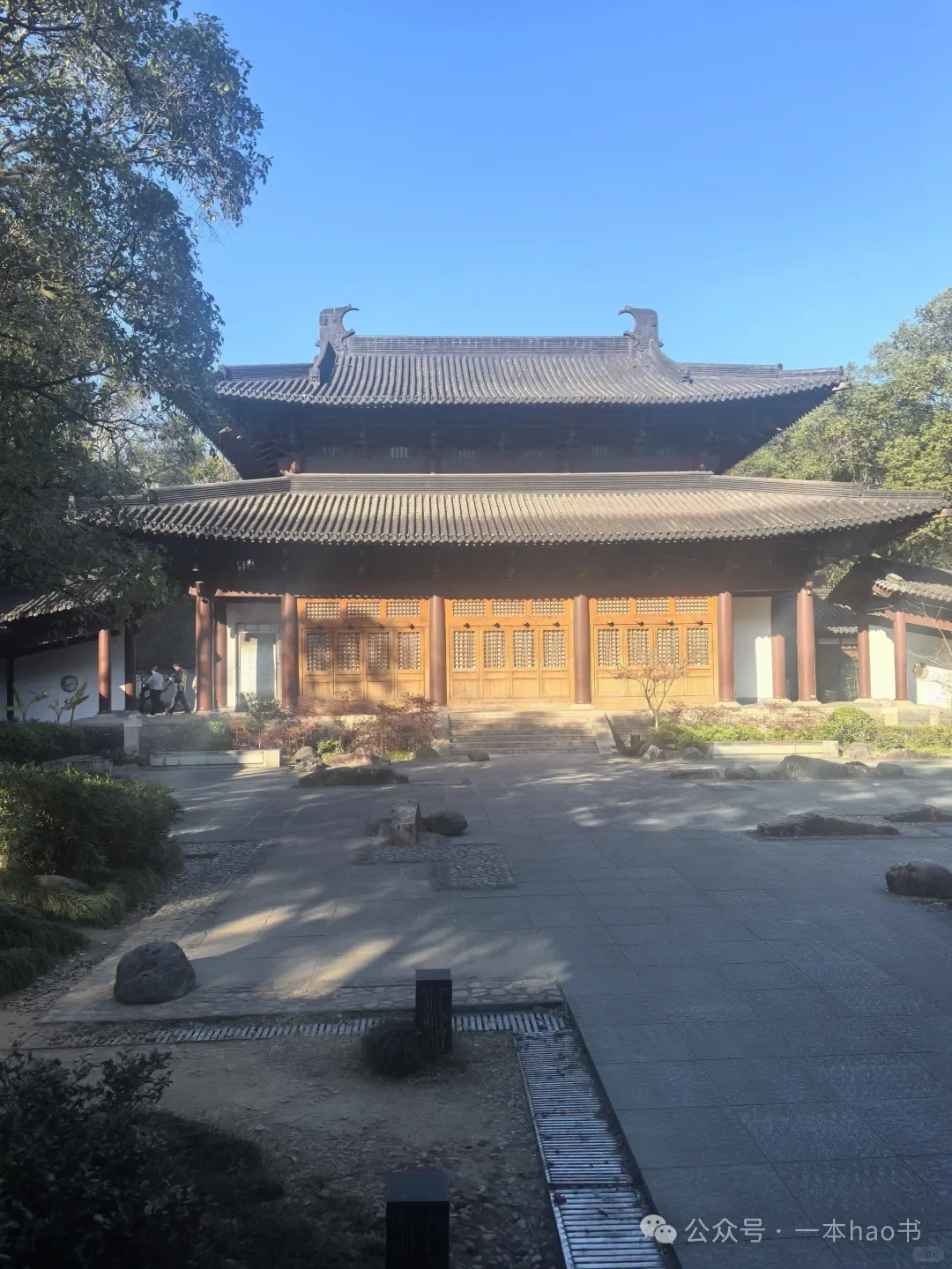 春节前游衢州和武夷山day3大红袍景区