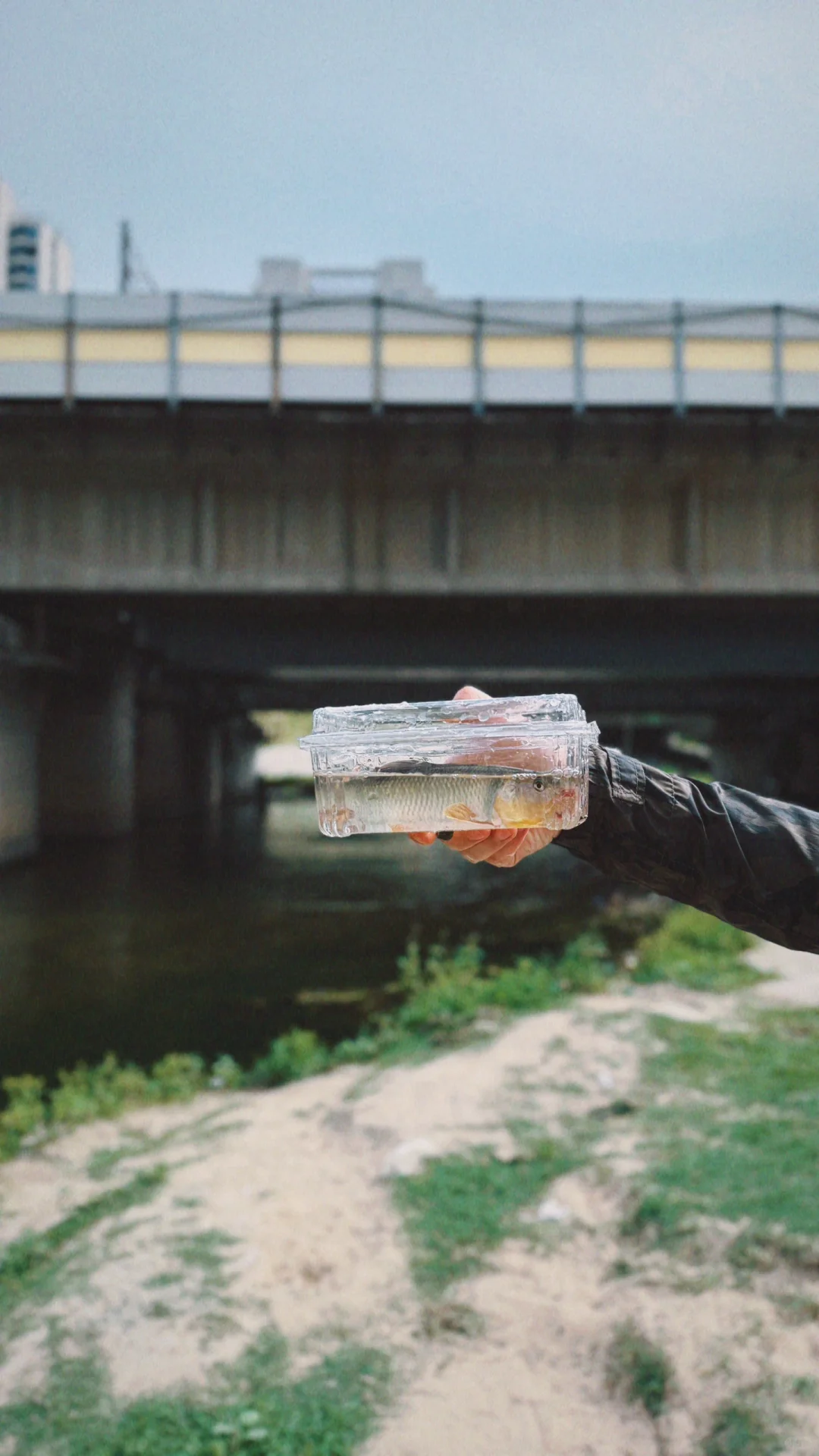 🎉探秘十八里河🌊自然美景,亲子游的好去处!