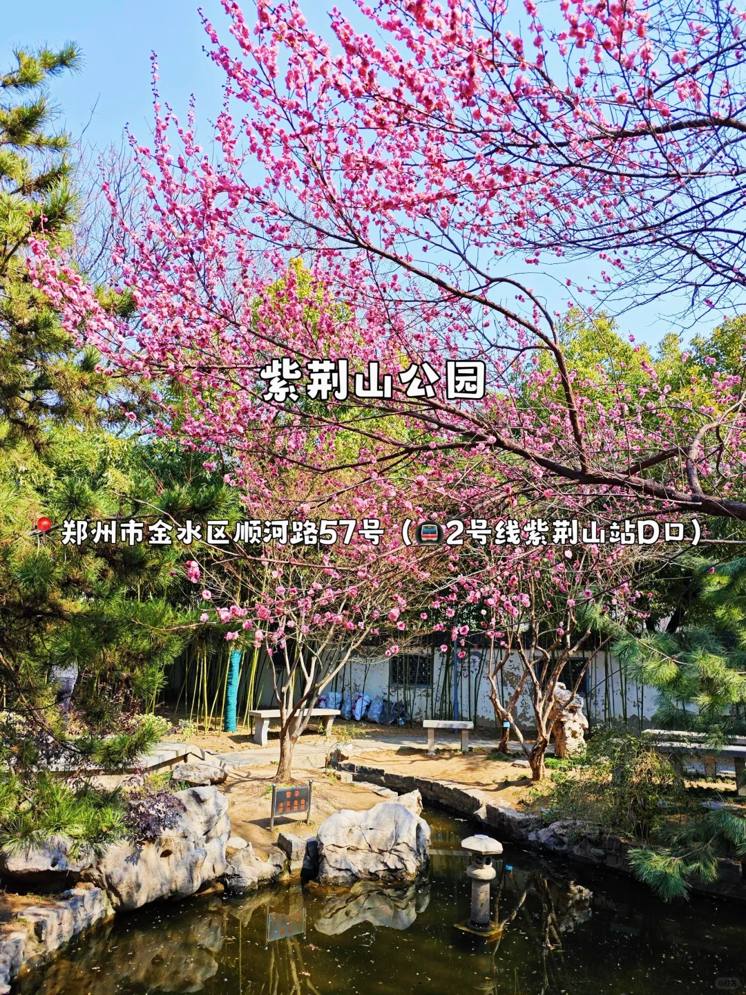 地铁直达🚇｜郑州12个游玩景点攻略合集