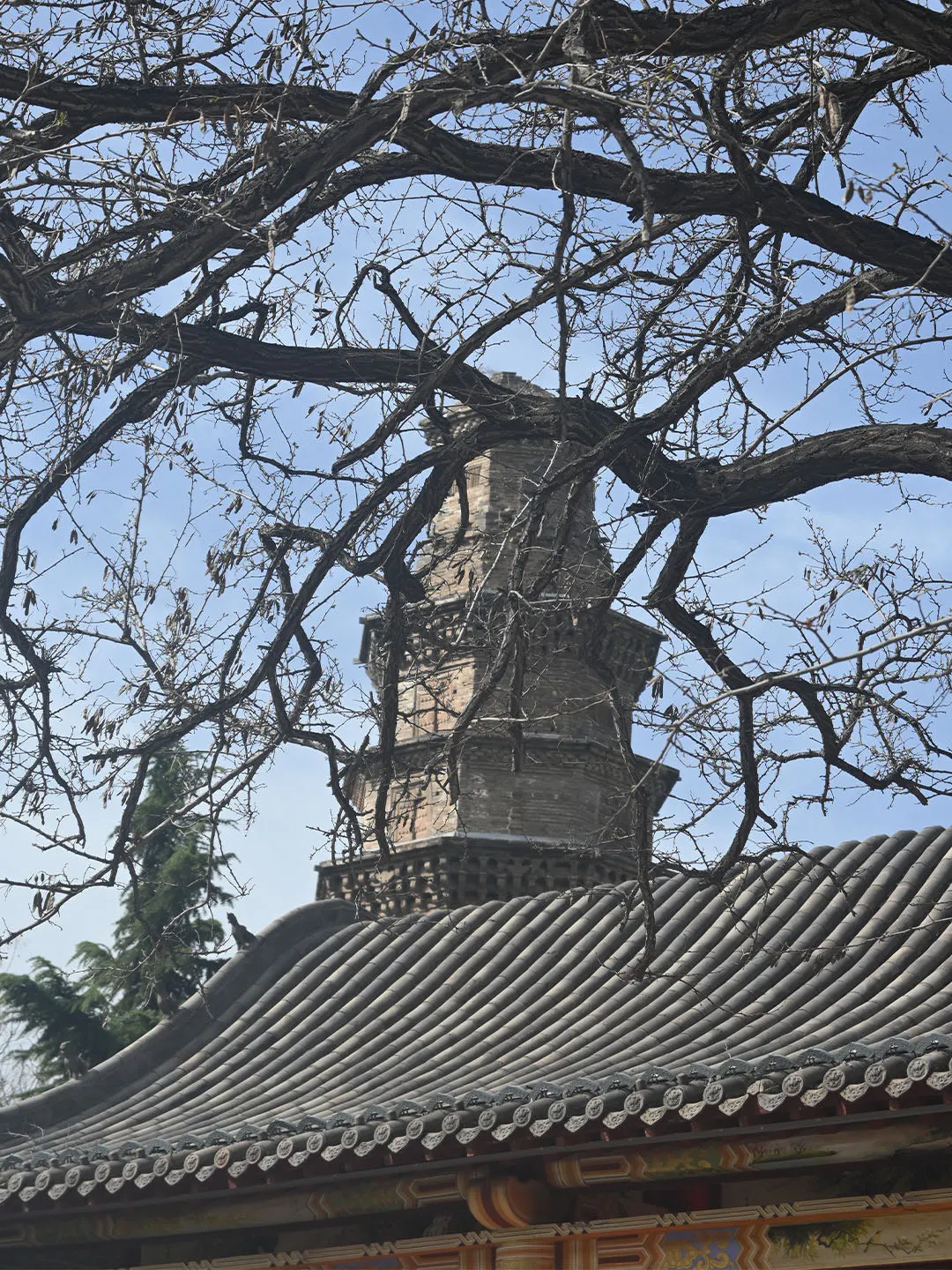 邯郸必打卡景点！本地人私藏路线大公开