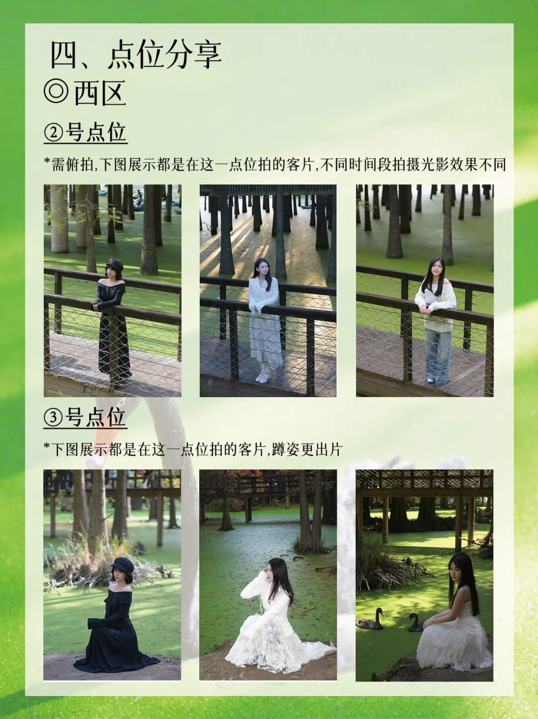 青山湖绿了🍃！杭州可冲🔝！后附详细攻略🔎！