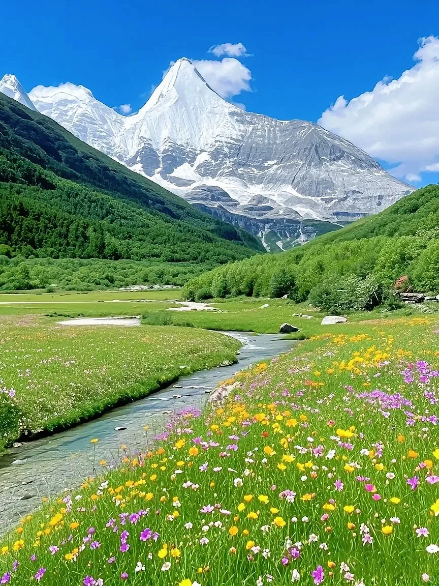 四姑娘山豪赌成功！美过瑞士的夏日氧吧🍃💐
