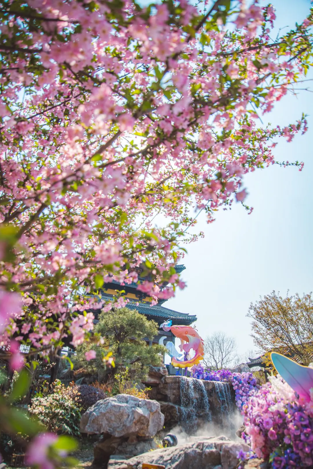 五一必去！茅山东方盐湖城撒欢指南🎉