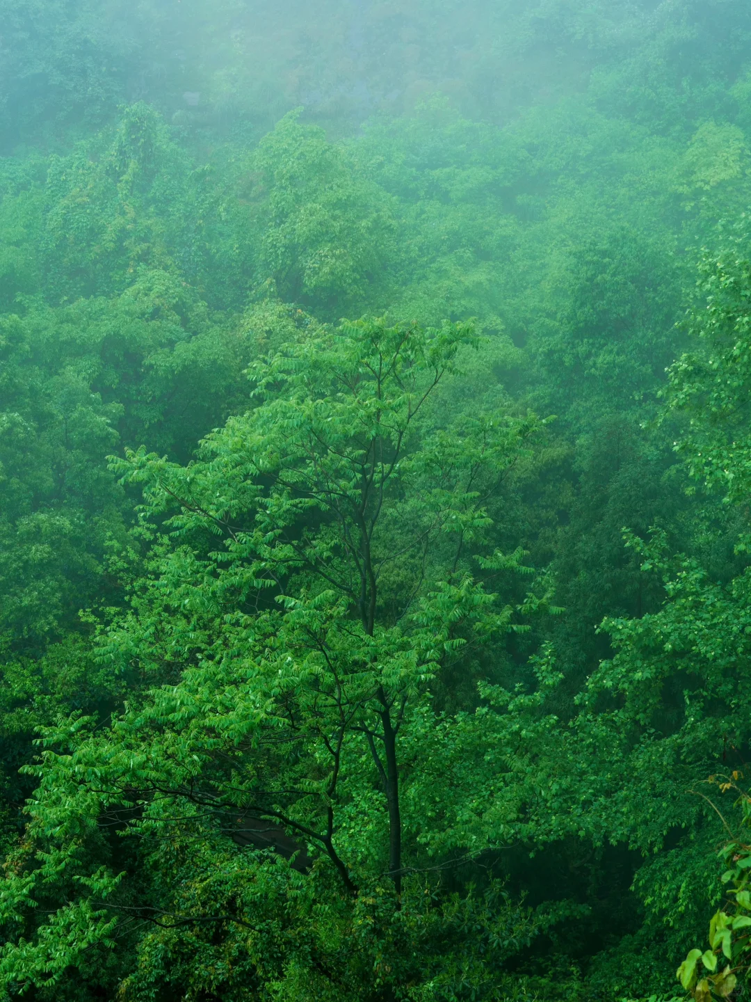 小红书跟风最成功的一次‼️人少景美小城