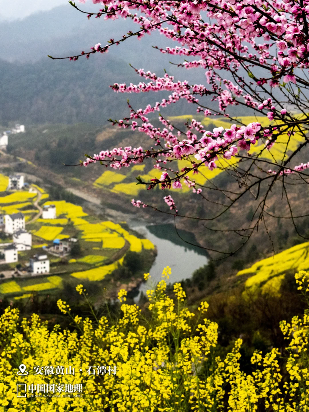 春天来这里，迎接你的“桃花”运🌺