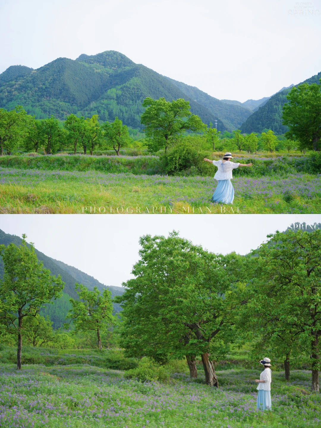 西安地铁直达,避开人群承包一座山的春天~