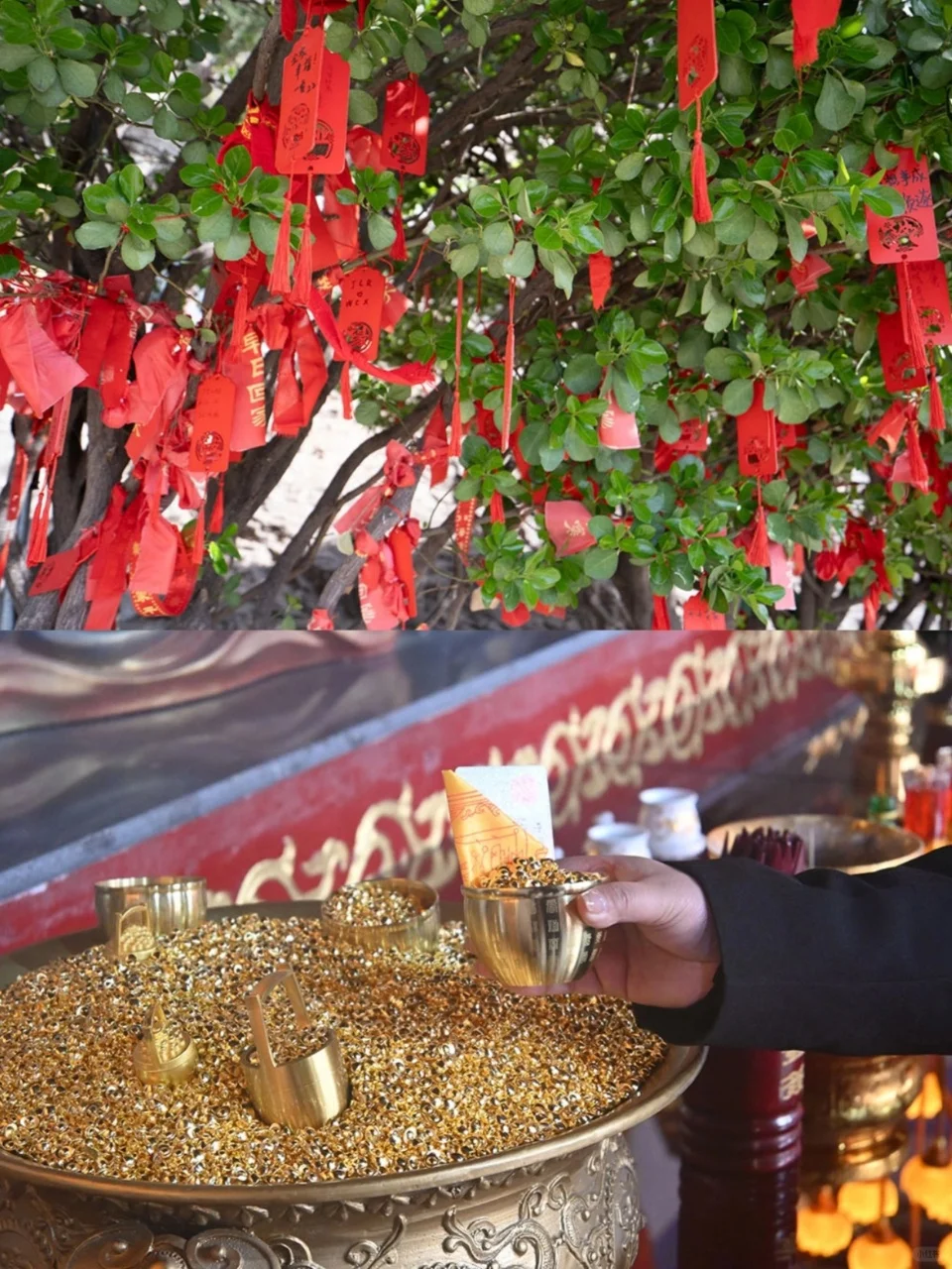 邯郸旅游｜本地人强推的 9 大景点！附攻略