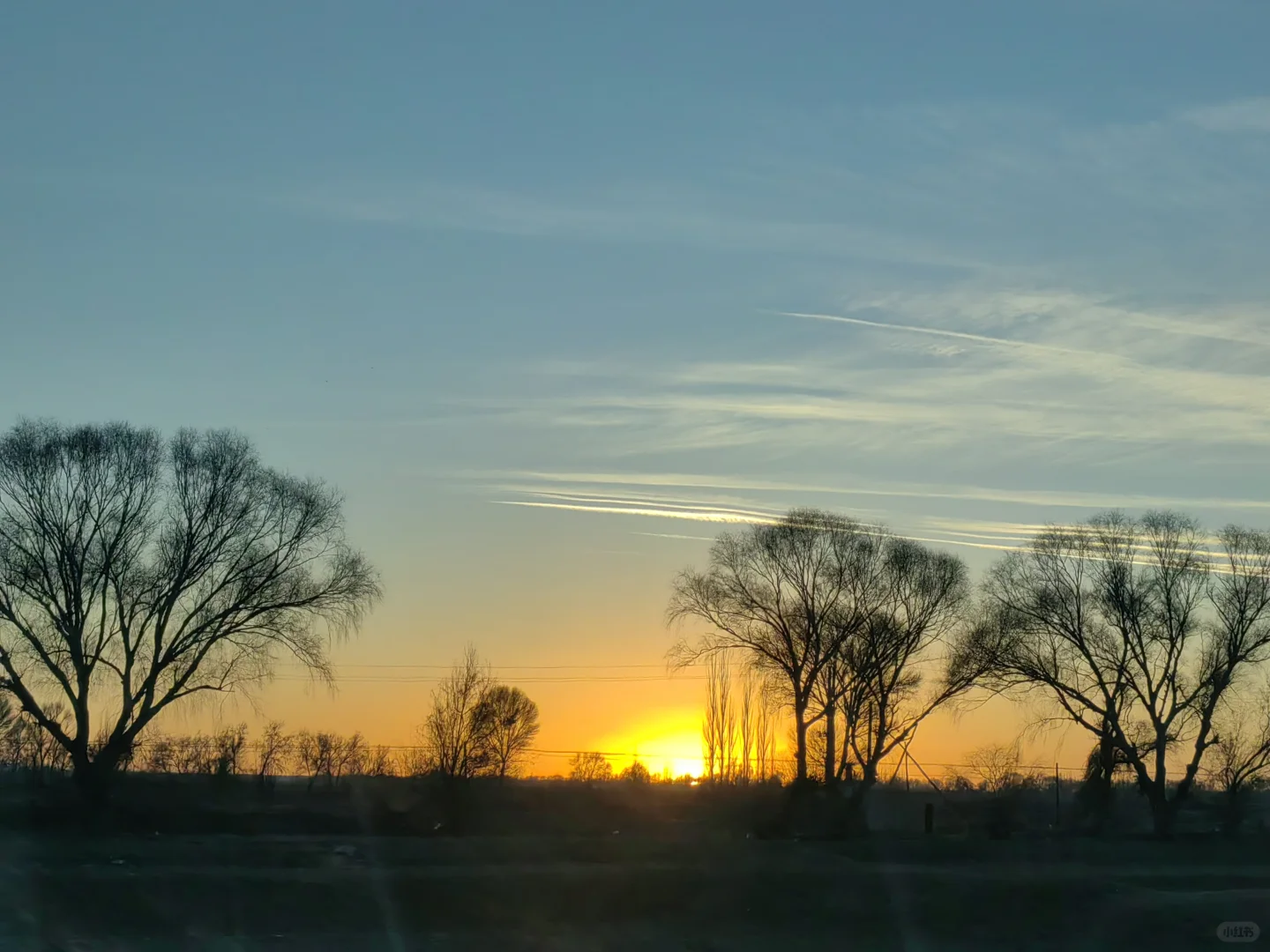 爱这人间 草木如书