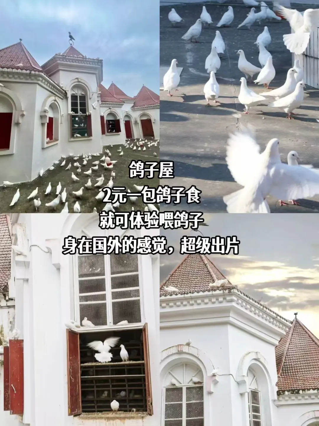 乐山美食本地人推荐必吃|劳动节tips