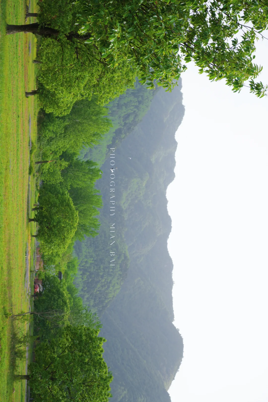 西安地铁直达,避开人群承包一座山的春天~