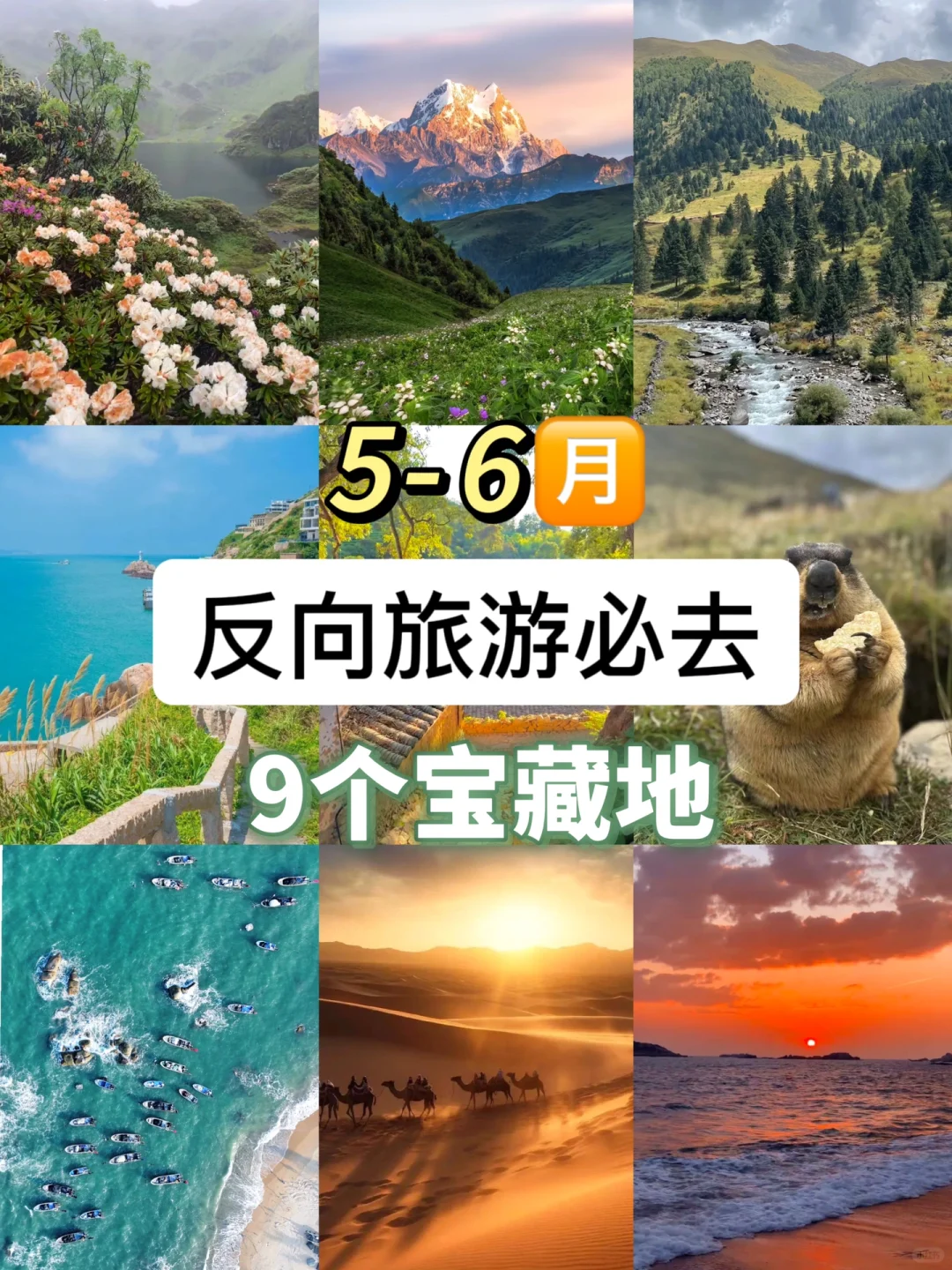 五一反向旅游进👏炒冷门小众的宝藏打卡点‼️
