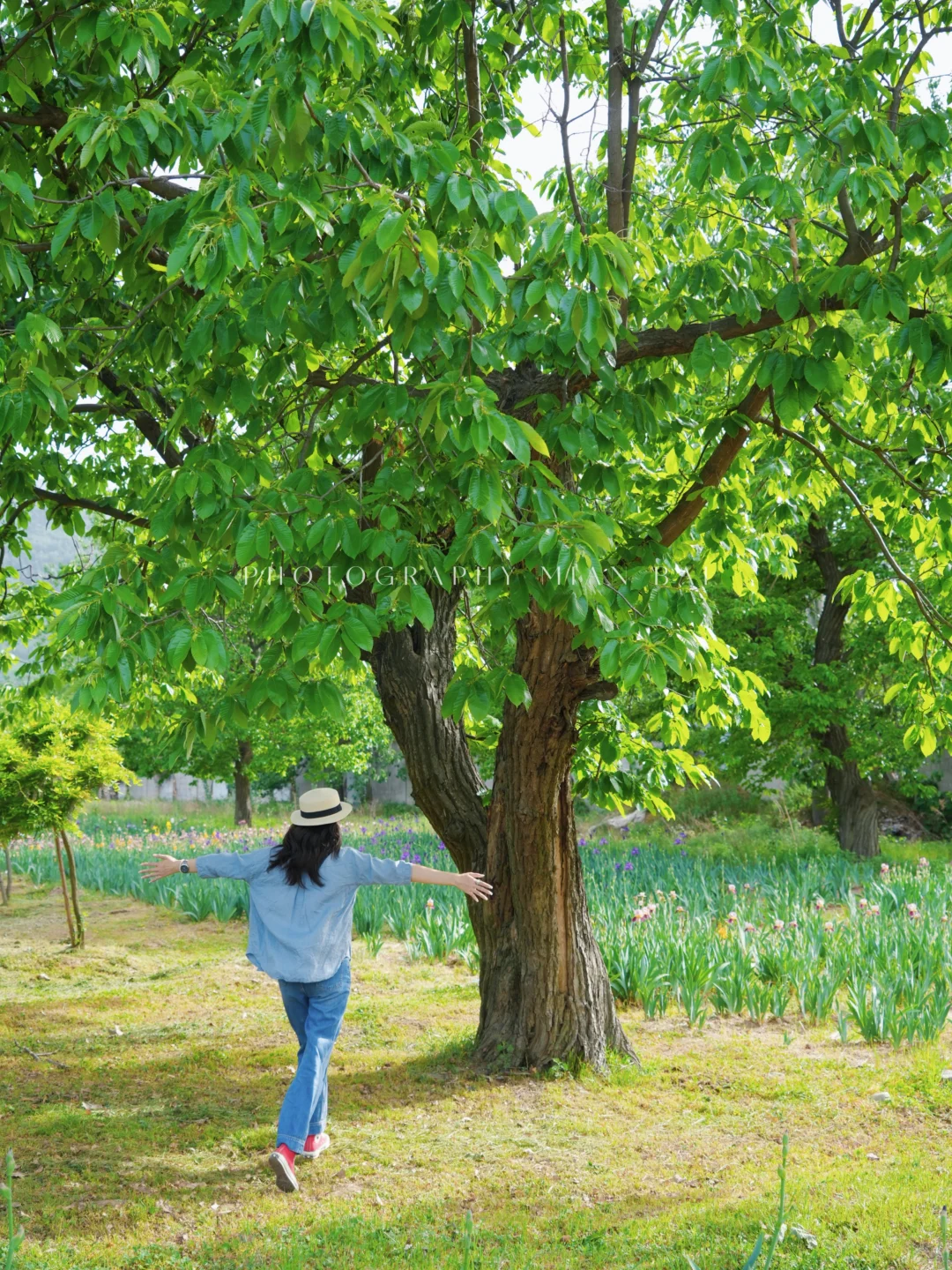 西安地铁直达,避开人群承包一座山的春天~