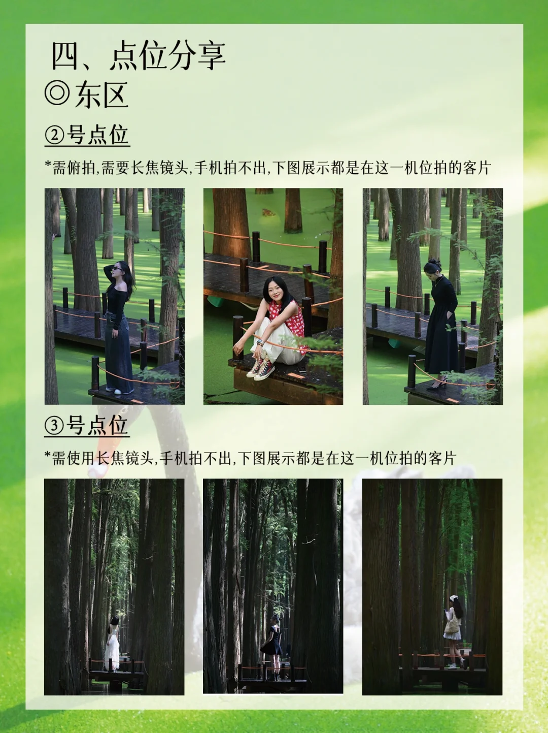 青山湖绿了🍃！杭州可冲🔝！后附详细攻略🔎！