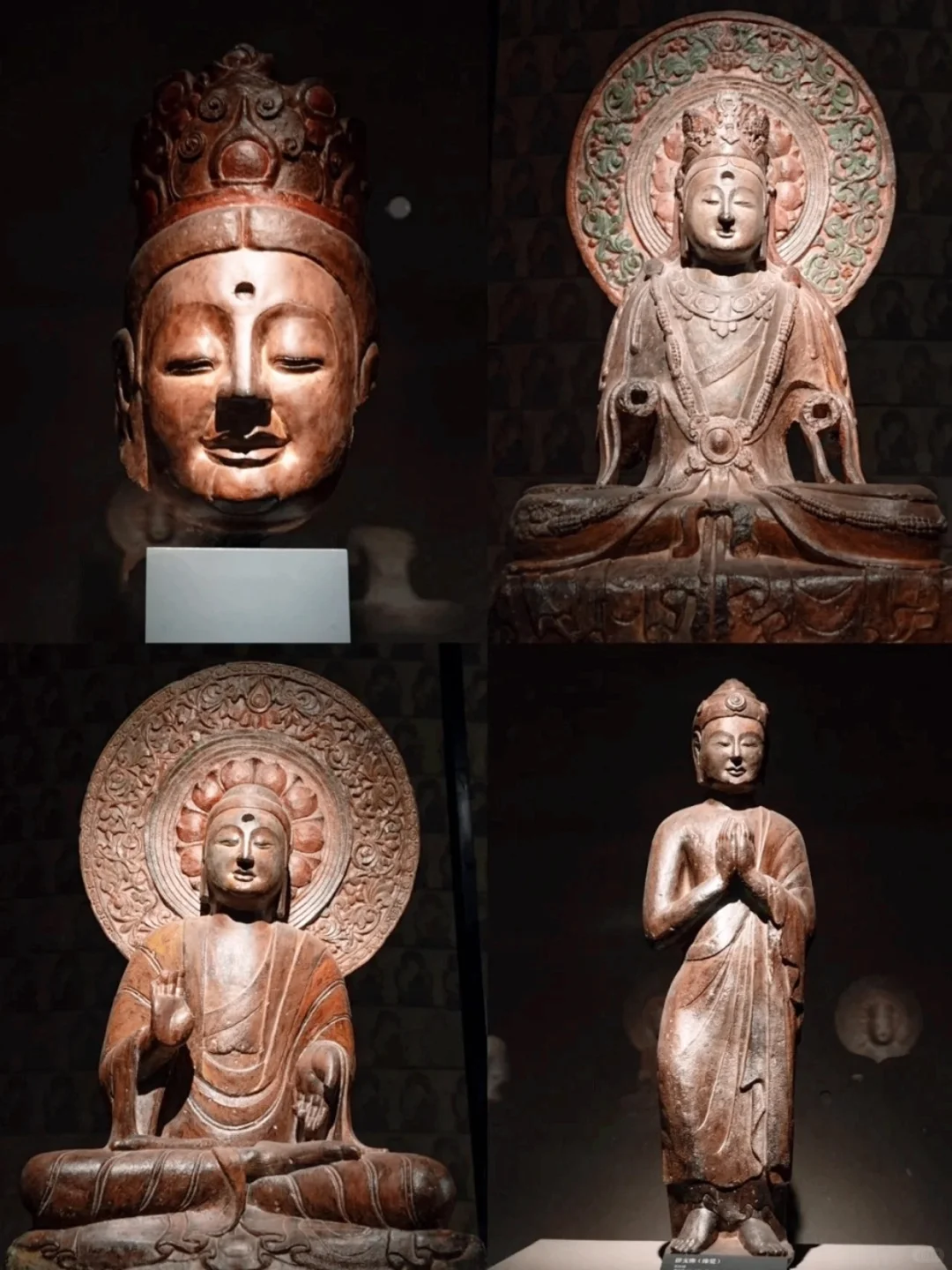 🌟【河北拍照封神指南】