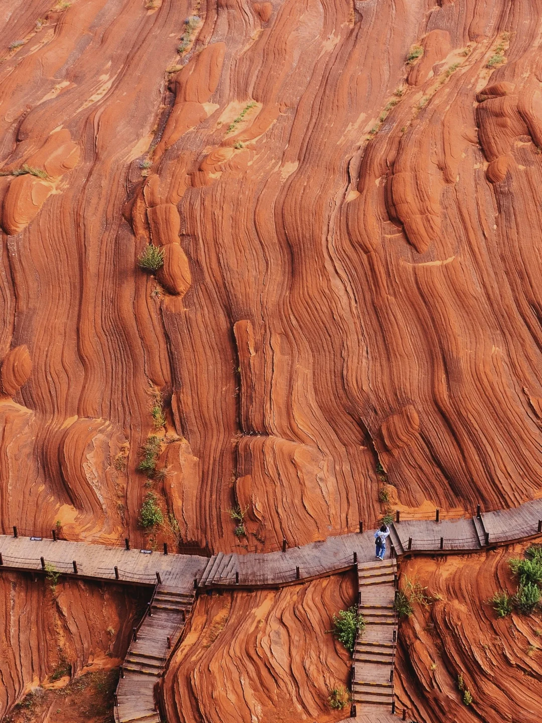 朋友圈问疯了！都以为我去了美国…🤣