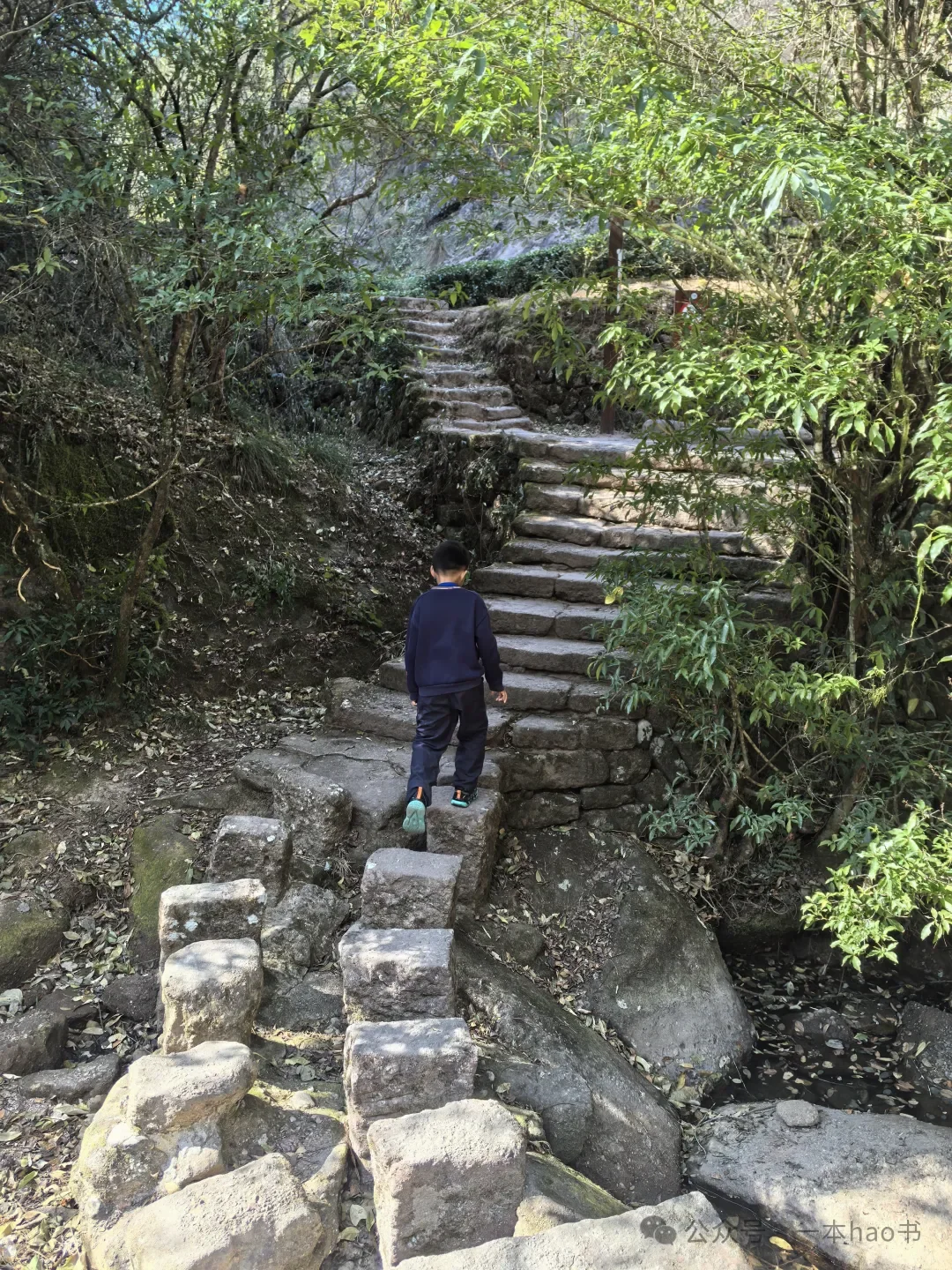 春节前游衢州和武夷山day3大红袍景区