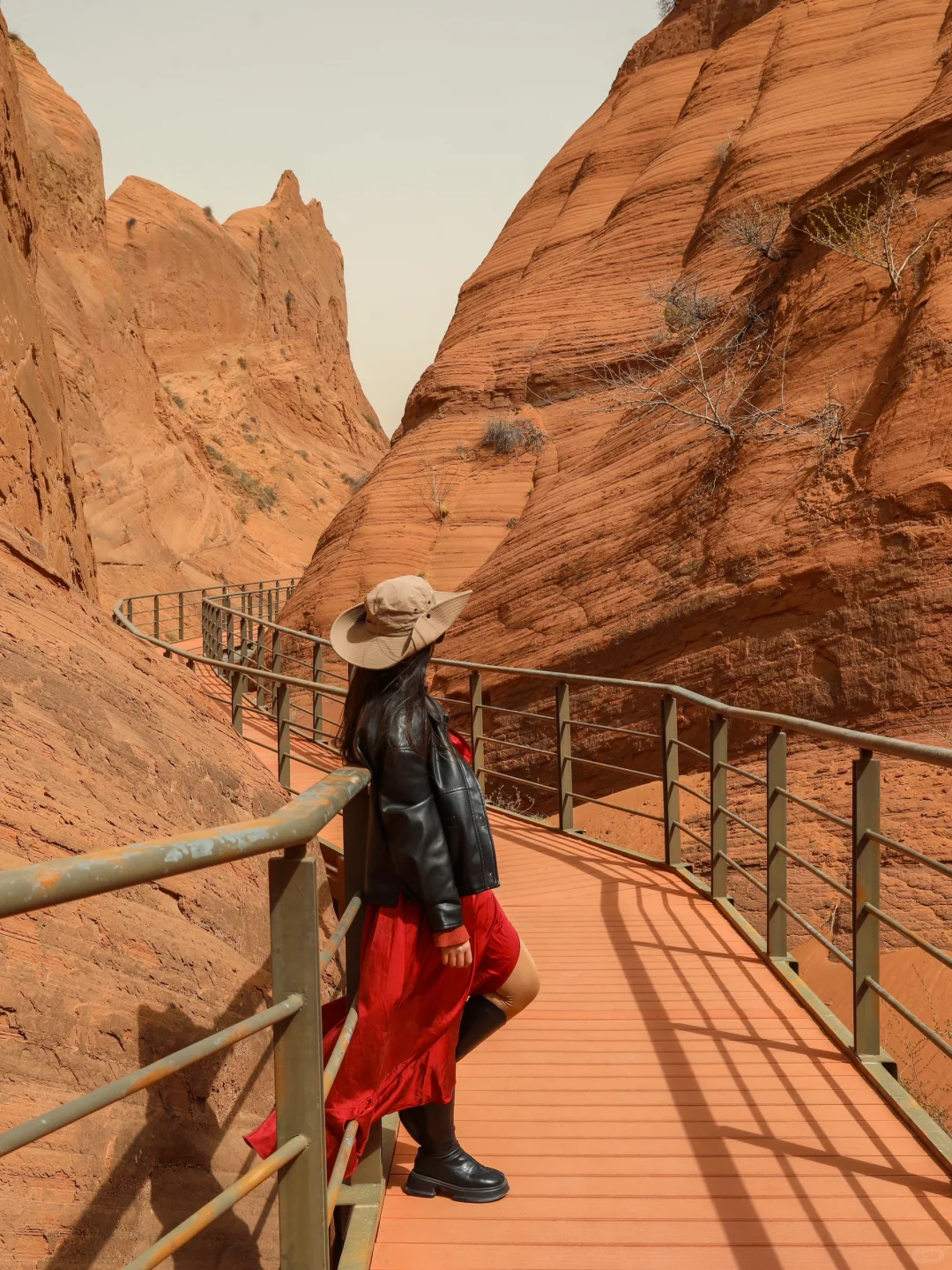 朋友圈问疯了！都以为我去了美国…🤣