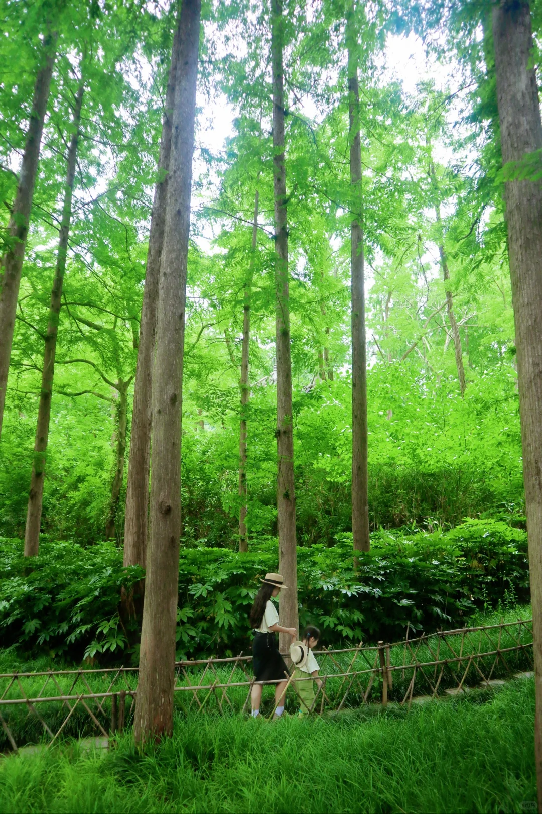 别在南京人挤人了！滁州溯溪玩水一日游‼️