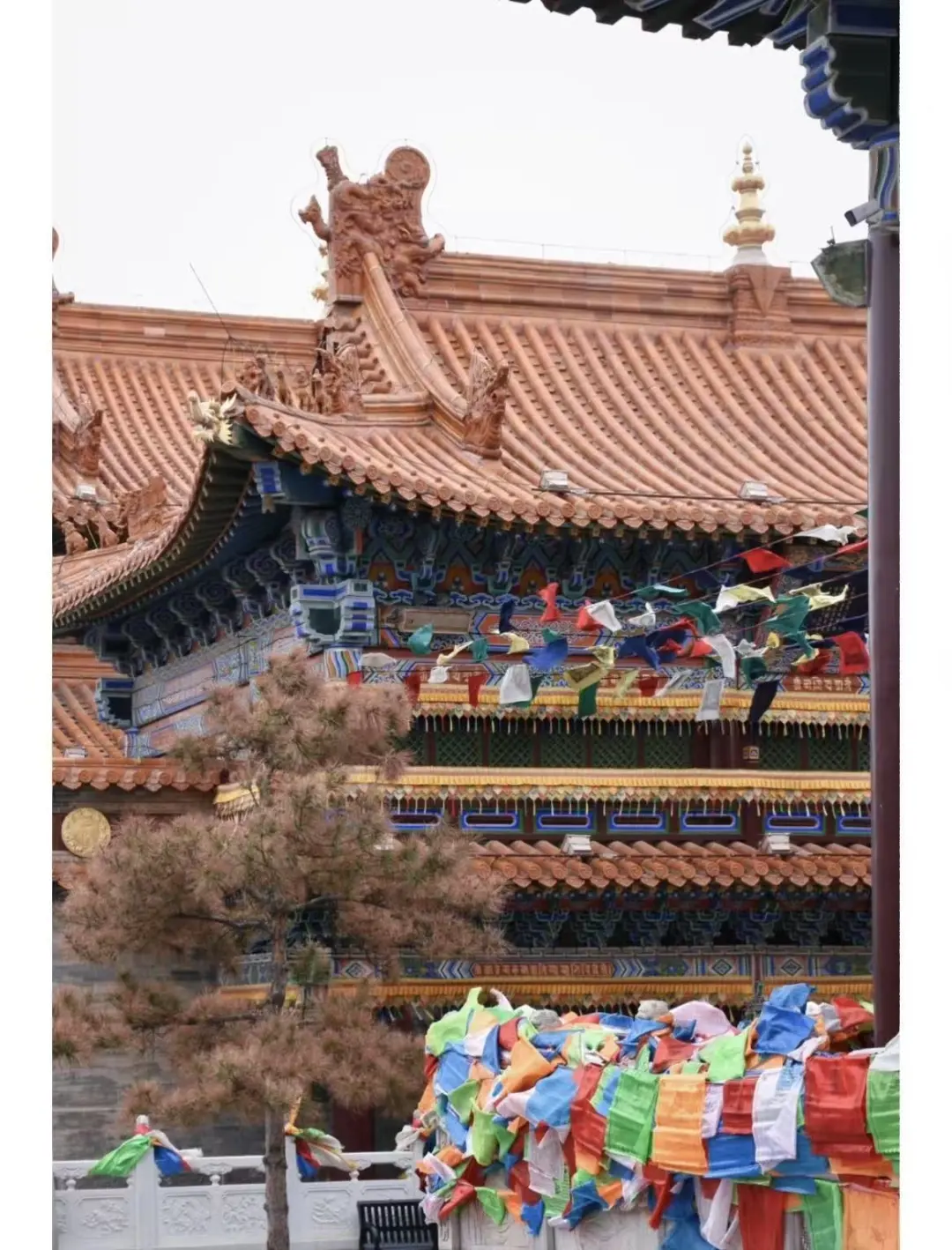 内蒙古·呼市周边游 | 五天四夜·人均5k