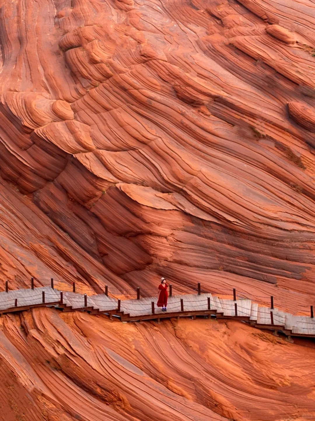 朋友圈问疯了！都以为我去了美国…🤣