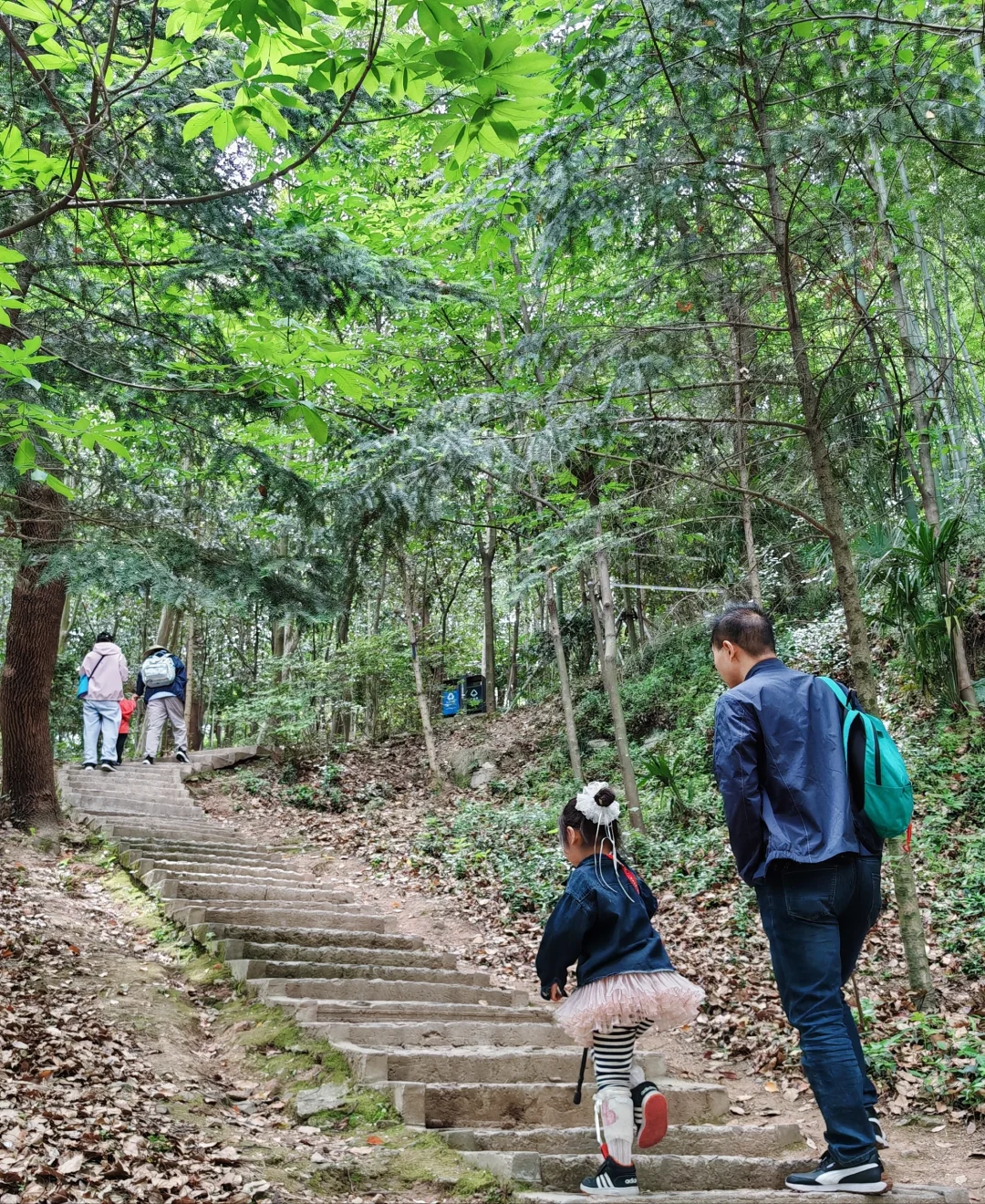 上海天马山亲子友好徒步：强烈推荐低幼宝宝