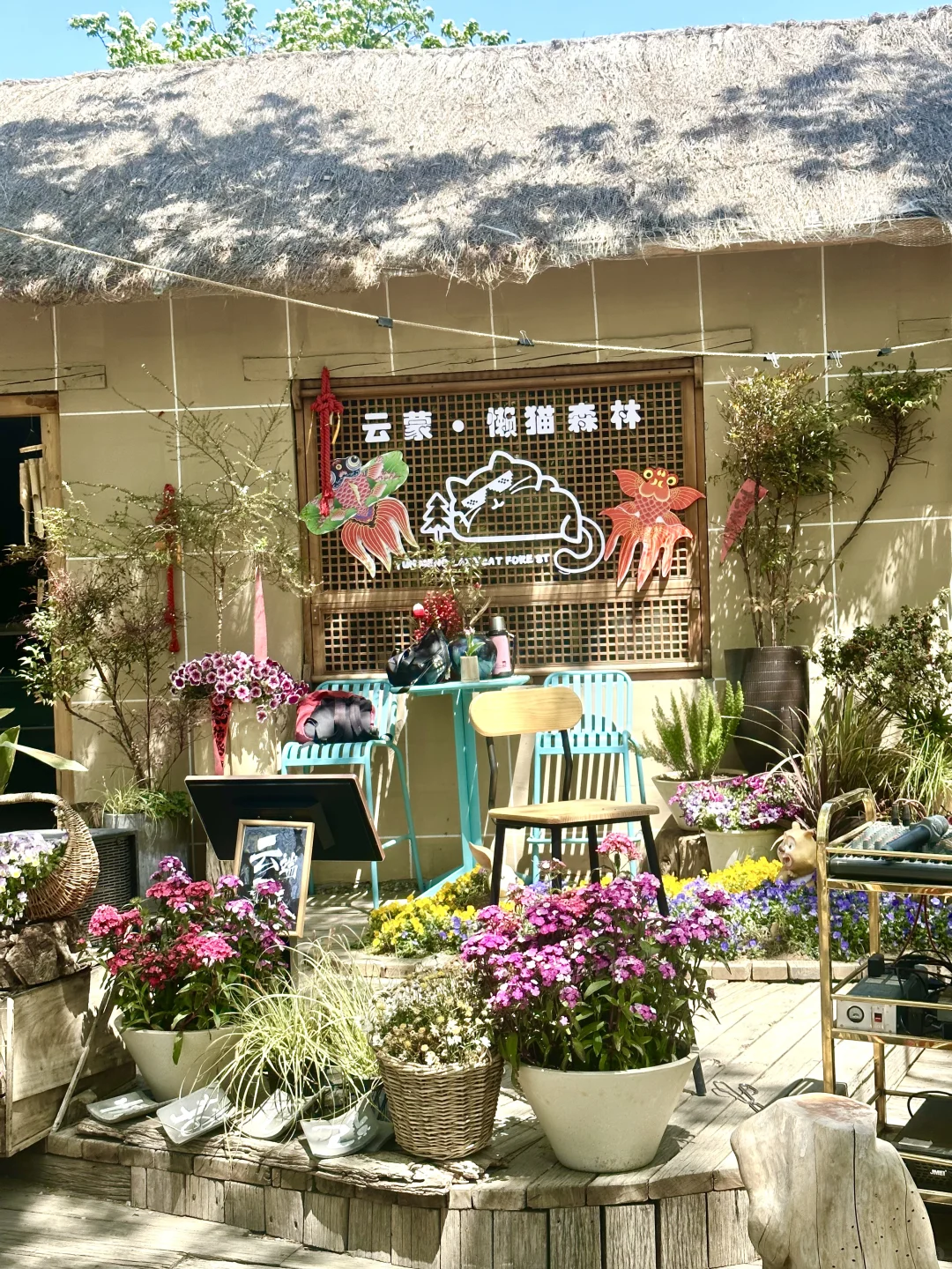 临沂云蒙处处都好玩❗️五一假期冲🔥